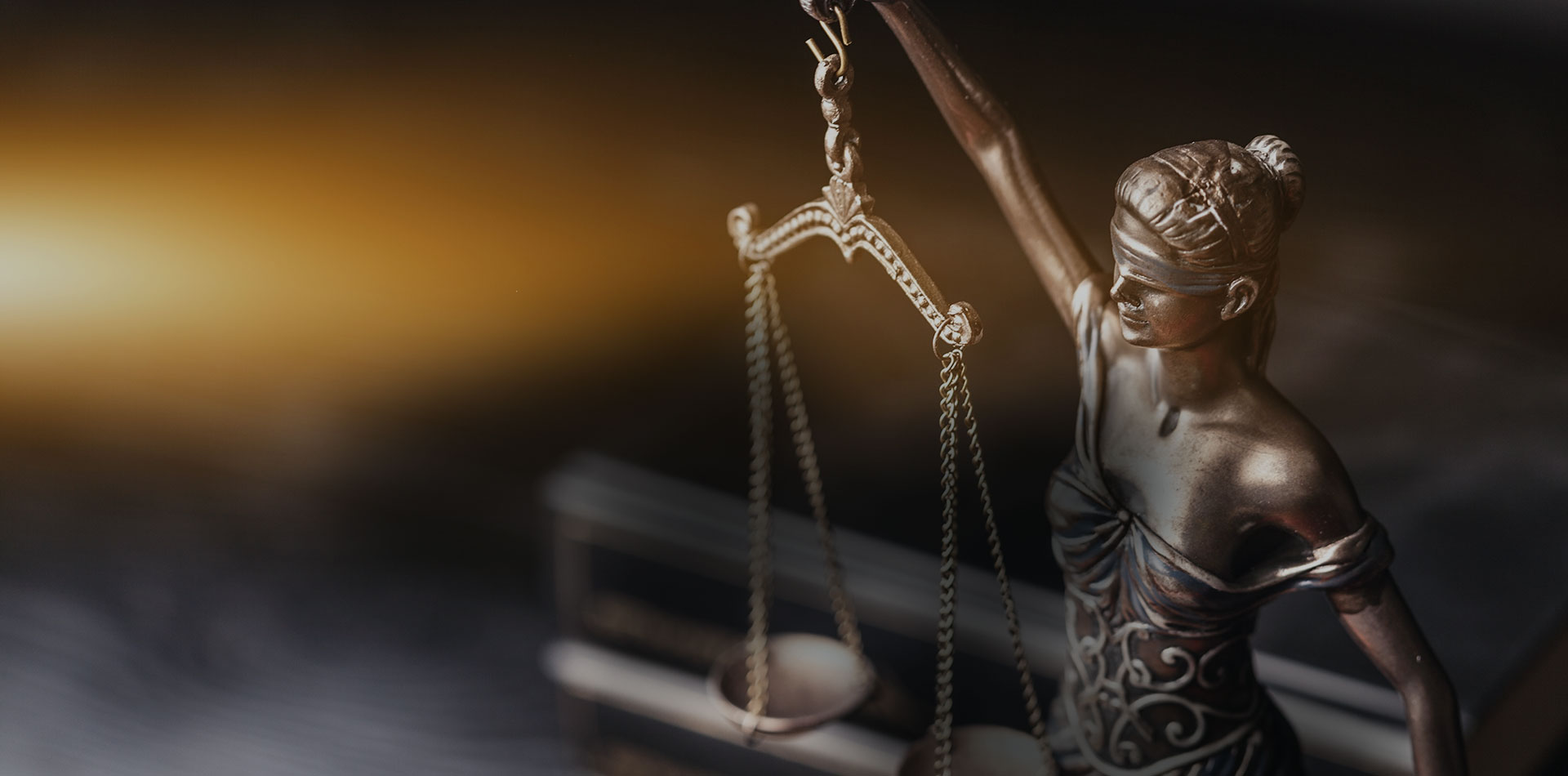 Advocate in Kochi providing expert legal counsel.
